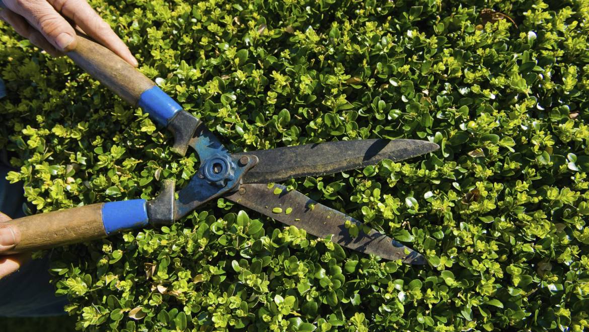 Personnel formé et qualifié par leur expérience