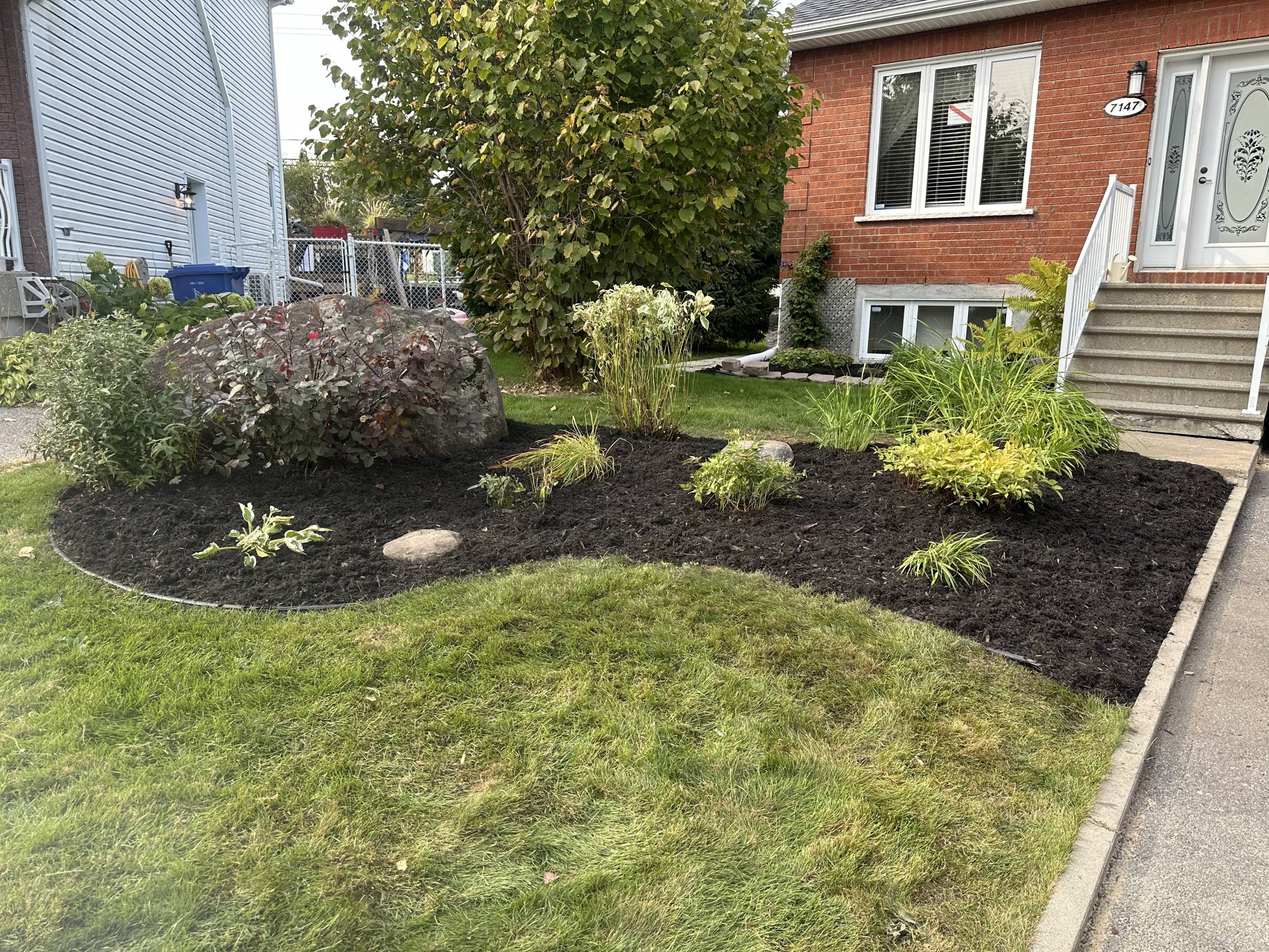 aménagement paysager plantes vivaces paillis de cèdre noir- Trois-Rivières - Mauricie - Centre du Québec