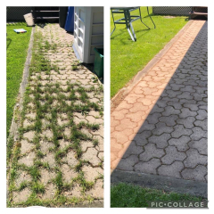 Éliminer Efficacement les Mauvaises Herbes de Votre Plate-Bande - Trois-Rivières - Mauricie - Centre du Québec