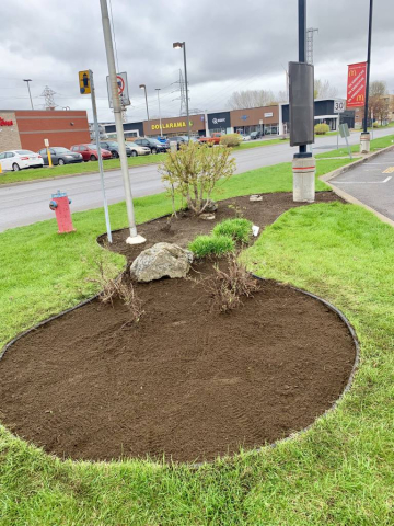 amenagement commercial entretien mauvaises herbes- Trois-Rivières - Mauricie - Centre du Québec